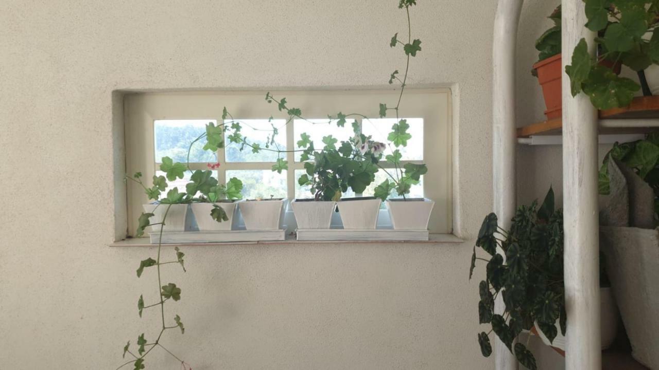 La Curtea Argeseana Apartment Valea Iasului ภายนอก รูปภาพ