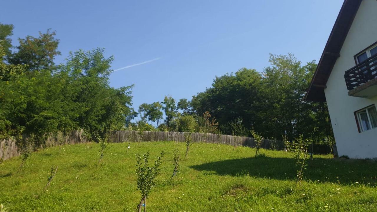 La Curtea Argeseana Apartment Valea Iasului ภายนอก รูปภาพ